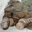 #00631-•-(300)-wheat-pennies-image-17