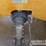 2015-caterpillar-tl1055d-image-19