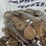 #00631-•-(300)-wheat-pennies-image-7