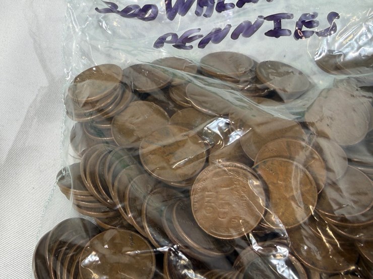 #00631-•-(300)-wheat-pennies-image-7