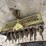 ryan-pull-behind-aerator-image-2