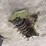 ryan-pull-behind-aerator-image-1