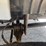 2003-international-durastar-4300-image-27