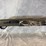 #3012-•-winchester-super-x4,-12-ga.-shotgun,-sn:-pt26493yy11k-image-4