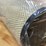 #8558-•-donaldson-inner-and-outer-air-filters-(pr13)-image-4