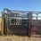 cattle-working-chute-image-5