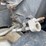 2003-international-durastar-4300-image-53