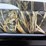 #3010-•-unused-stoeger-p3500-pump-shotgun-75-h24pt-007402-inv#49676-image-15