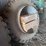 duals-image-1