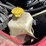 #1134-•-2006-dodge-ram-mega-cab-pickup-truck-(has-wi-title)-image-40