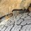 2016-ford-f150-image-37