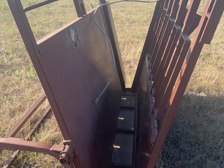 calf-table-image-5
