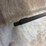 #3017-•-stevens-model-301-turkey,-.410-ga.-shotgun,-sn:-256562b-image-9