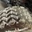 #1618-•-sd-launch-sdlc80-electric-golf-cart-(d)-image-10
