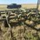 john-deere-1000-image-4