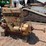 massey-ferguson-4-image-1