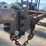 #1617-•-utility-trailer-(no-title)-(of)-image-13