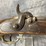 #3072-•-zella-1846-smooth-bore,-58-cal-musket.-muzzleloader,-sn:-none-image-12
