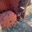 gehl-feeder-box-image-7