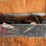 #1147-•-2007-triton-18'-aluminum-enclosed-trailer,-(has-wi-title)-image-22