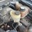 2007-ford-f150-image-32