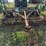 john-deere-field-cultivator-image-6