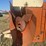 gehl-feeder-box-image-2