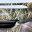 #3010-•-unused-stoeger-p3500-pump-shotgun-75-h24pt-007402-inv#49676-image-36