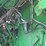 john-deere-9500-image-24