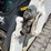 2020-bobcat-t64-image-18