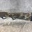 #3016-•-winchester-sxp,-12-ga.-shotgun,-sn:-tr6022-182877sp-image-8