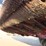 case-ih-1020-image-9