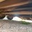 #1135-•-2002-horse-creek-road-warrier-22'-tandem-axle-gooseneck-trailer-(has-wi-title)-image-11