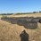 tire-feeders-image-3