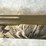 #3012-•-winchester-super-x4,-12-ga.-shotgun,-sn:-pt26493yy11k-image-11
