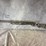 #3012-•-winchester-super-x4,-12-ga.-shotgun,-sn:-pt26493yy11k-image-2