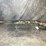 #3054-•-remington-870-express,-12-ga.-shotgun,-sn:-w768852m-image-2