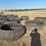 tire-feeders-image-1