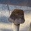 #1617-•-utility-trailer-(no-title)-(of)-image-11