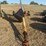 westfield-auger-image-2