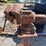 #2486-•-bench-vise-on-stand-image-6