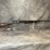 #3055-•-winchester-model-1897,-12-ga.-shotgun,-sn:-d297035-image-1