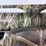 #3010-•-unused-stoeger-p3500-pump-shotgun-75-h24pt-007402-inv#49676-image-37