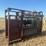 cattle-working-chute-image-2
