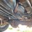 2007-ford-f150-image-27