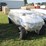 #9883-•-6-person-golf-cart-unassembled-image-2