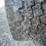 #2081-•-travelite-18'-gooseneck-cattle-trailer-(no-title)-image-14