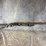#3012-•-winchester-super-x4,-12-ga.-shotgun,-sn:-pt26493yy11k-image-1