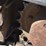 2019-caterpillar-303e-cr-image-45