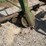 john-deere-5-image-3